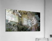 image3A6821_mirror2 Acrylic Print