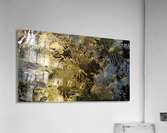 image3A6801_mirror2 Acrylic Print