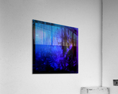 image3A6898_chroma2 Acrylic Print