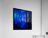 image3A6898_chroma7 Acrylic Print