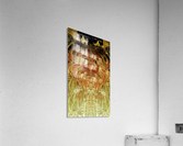 1540821517109~3 Acrylic Print