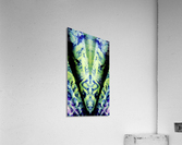 1541252300707~2 Acrylic Print