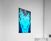 1541252350839~2 Acrylic Print