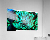 1542348827903 Acrylic Print