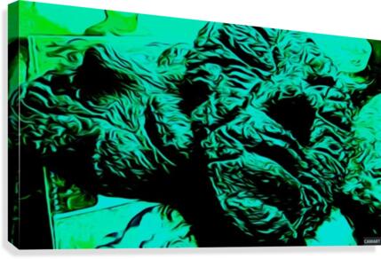 camart1541376806801 Canvas Print