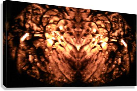 1544850396463 Canvas Print
