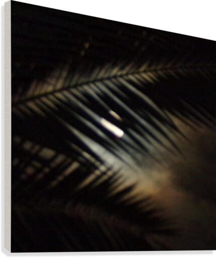 1545806383327 Canvas Print