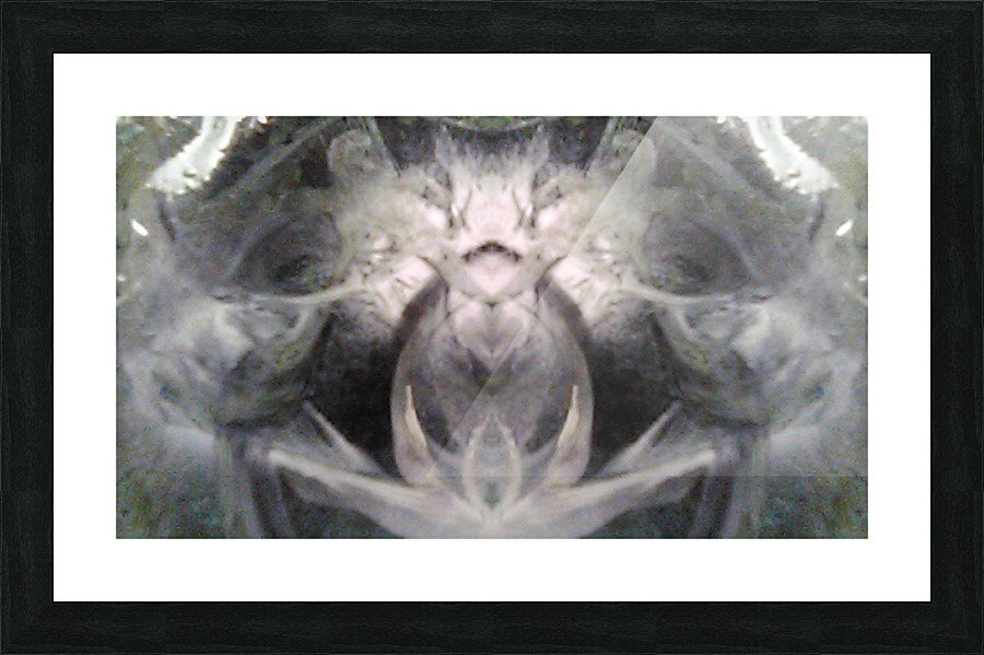 1538233684448 Picture Frame print