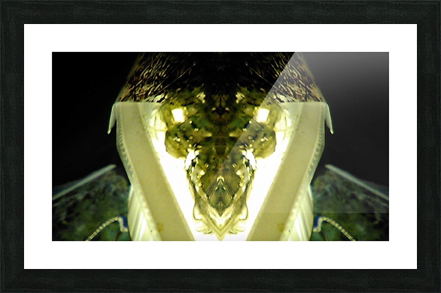 1538532690322 Picture Frame print