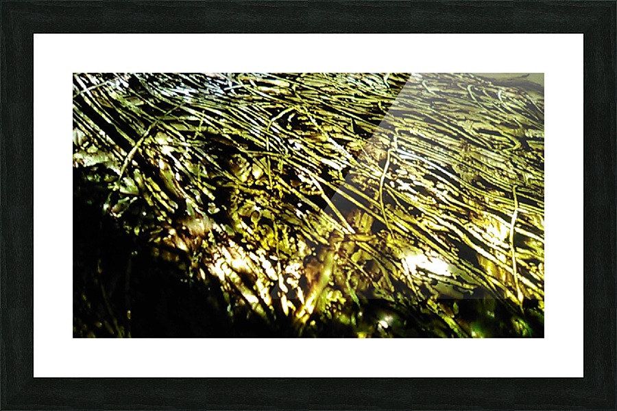 1538532816199 Picture Frame print