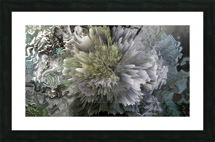 image3A6821_mirror11 Picture Frame print