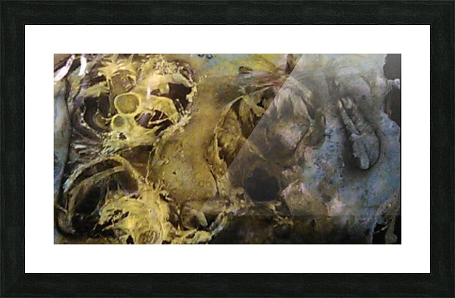 image3A6739_mirror Picture Frame print