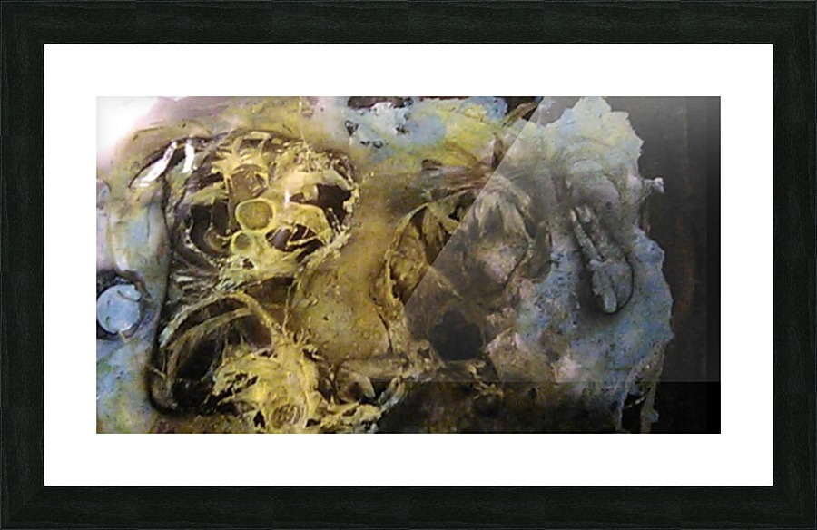 image3A6757_mirror Picture Frame print