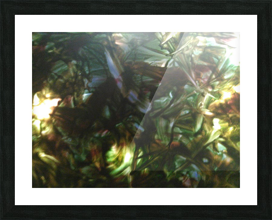 IMG_20181004_075527 Picture Frame print