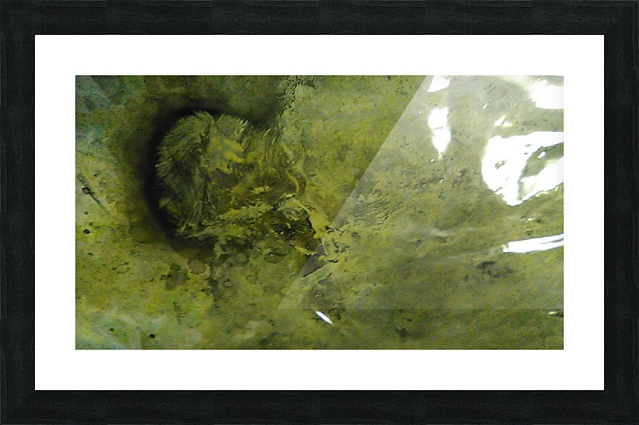 1538650484221 Picture Frame print