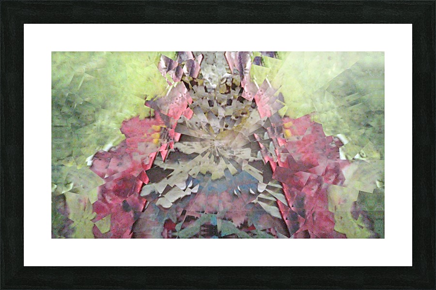182_mirror_1538661877.56 Picture Frame print
