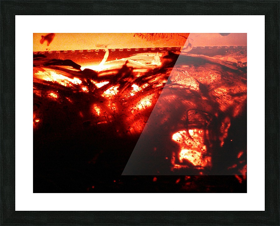 IMG_20181004_111421 Picture Frame print