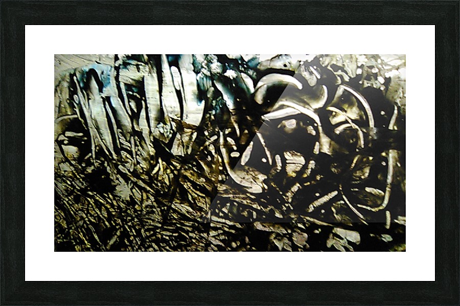 1538711738206 Picture Frame print