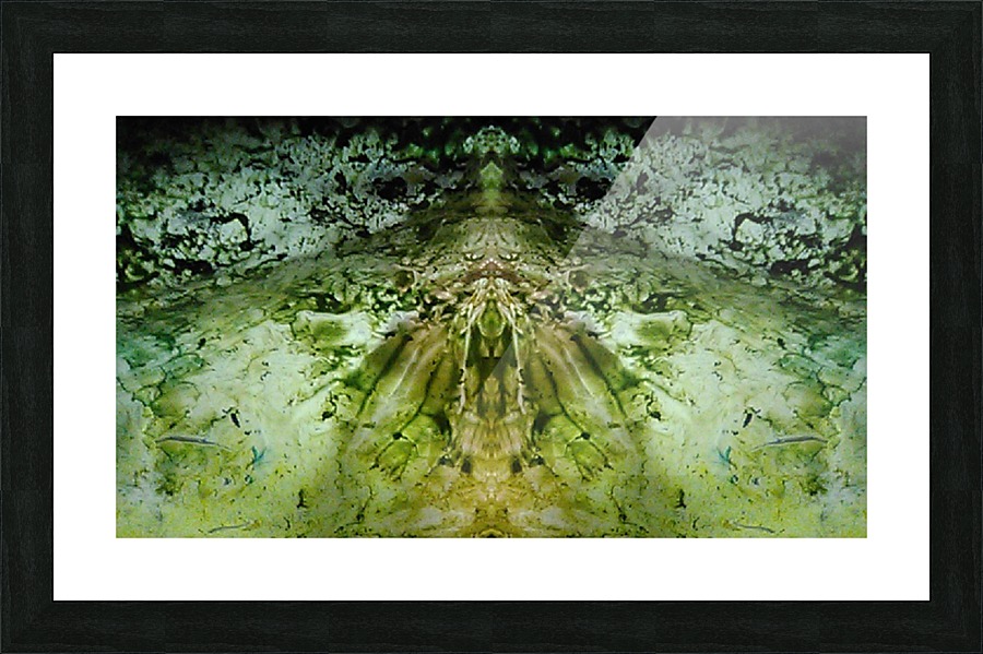 1538712685031 Picture Frame print