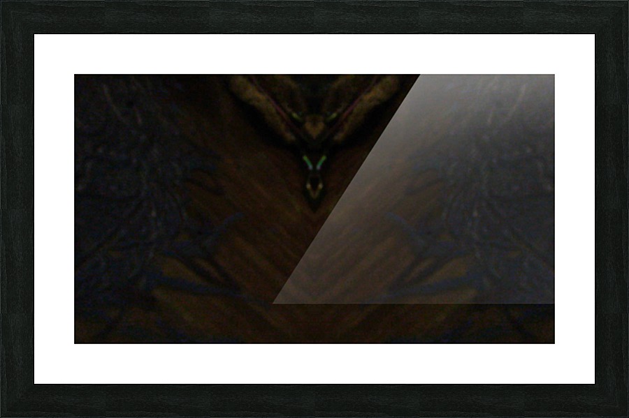 1538808564556 Picture Frame print