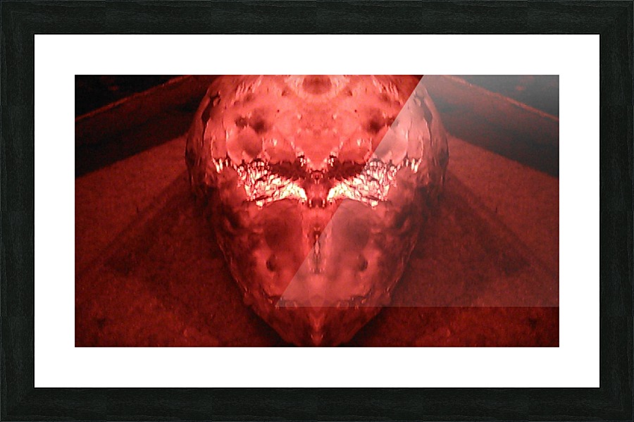 1539521077264 Picture Frame print