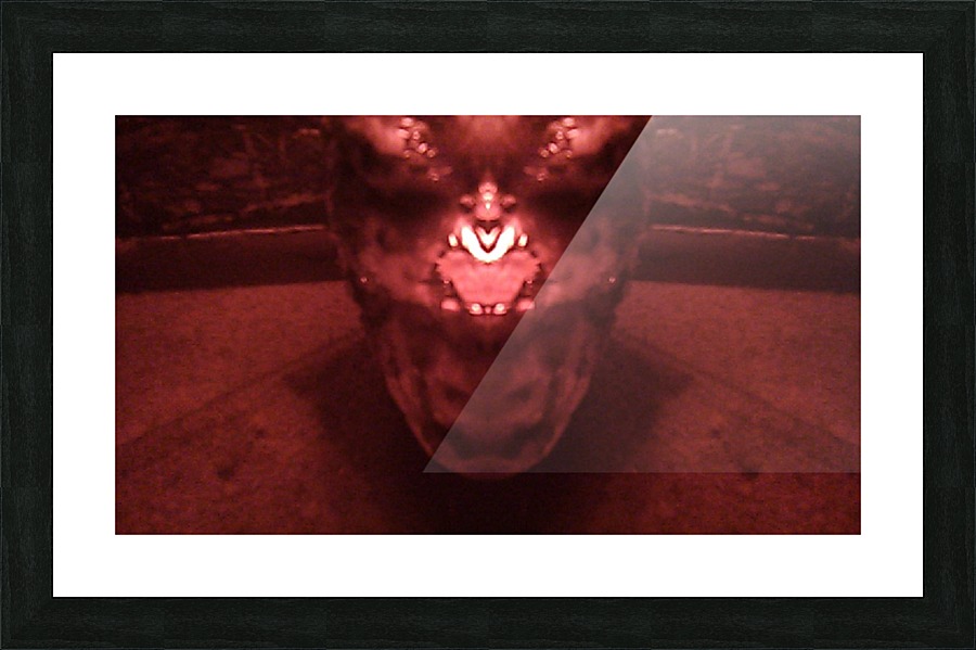 1539520822165 Picture Frame print