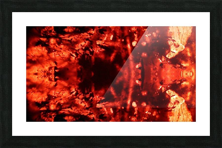 1539614783236 Picture Frame print
