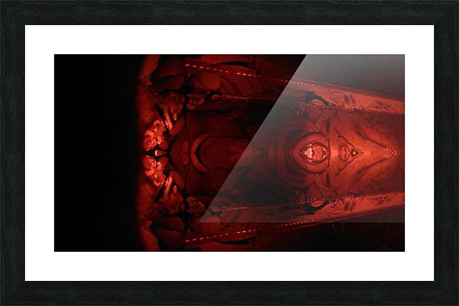 1539693168055 Picture Frame print