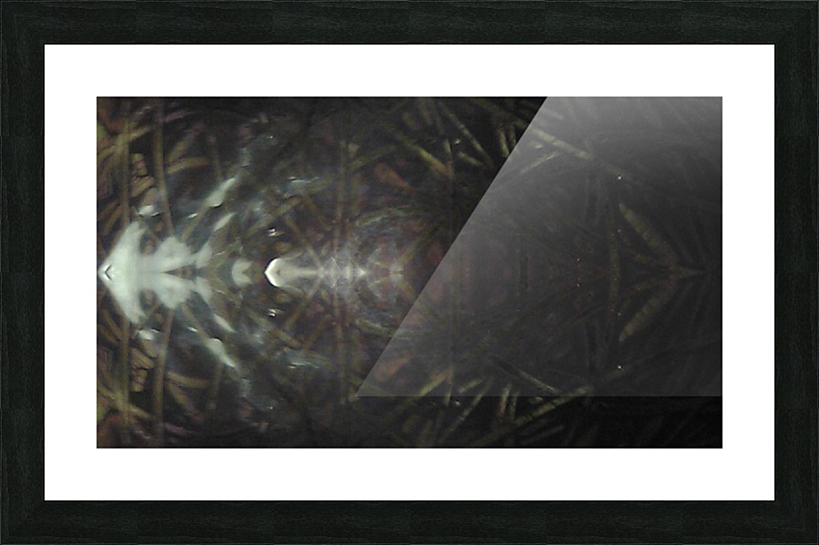 1539820026465 Picture Frame print