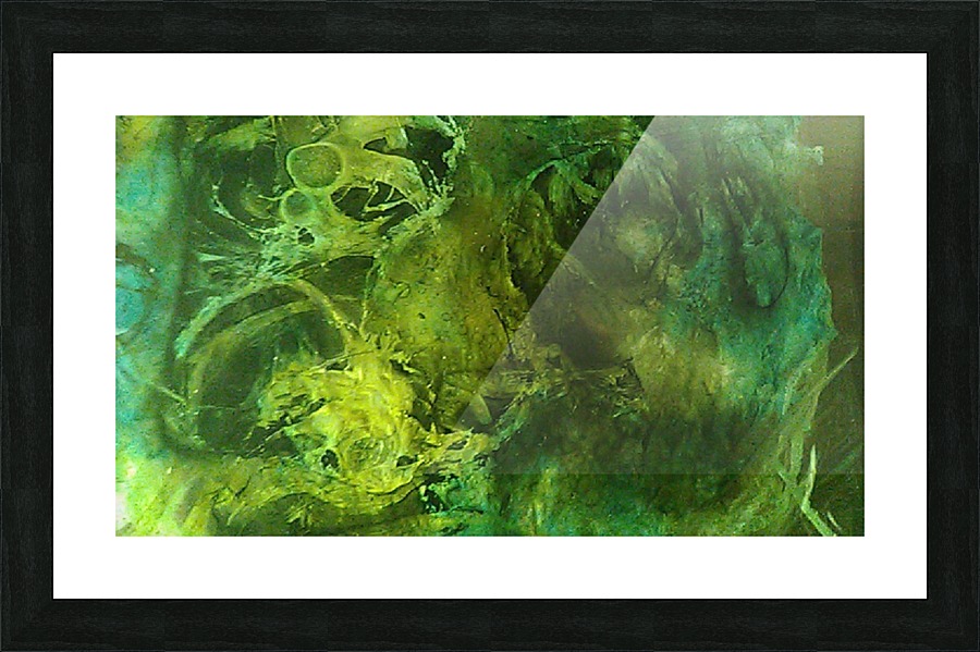 1539910662271 Picture Frame print