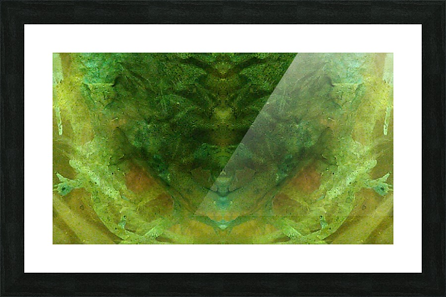 1539910841935 Picture Frame print