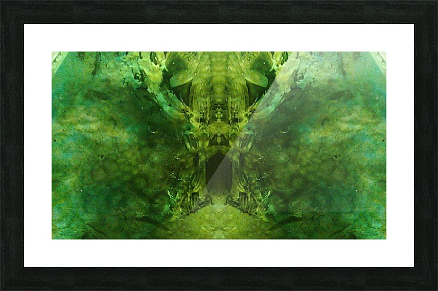 1539910216171 Picture Frame print