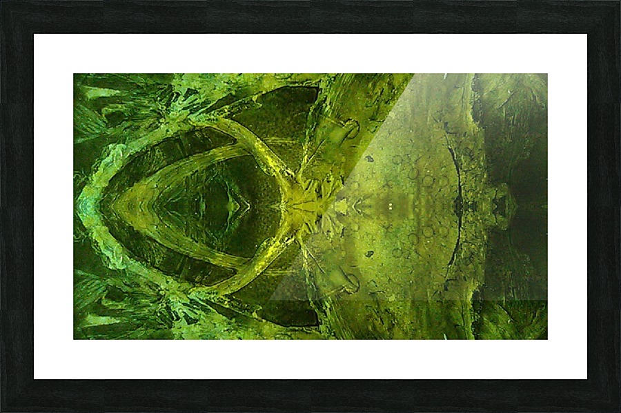 1539910463172 Picture Frame print