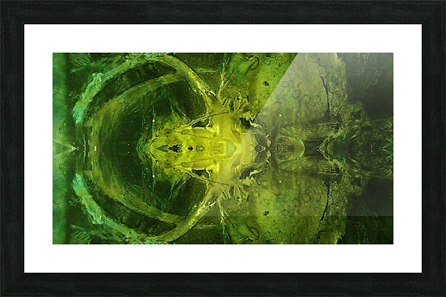 1539910468005 Picture Frame print