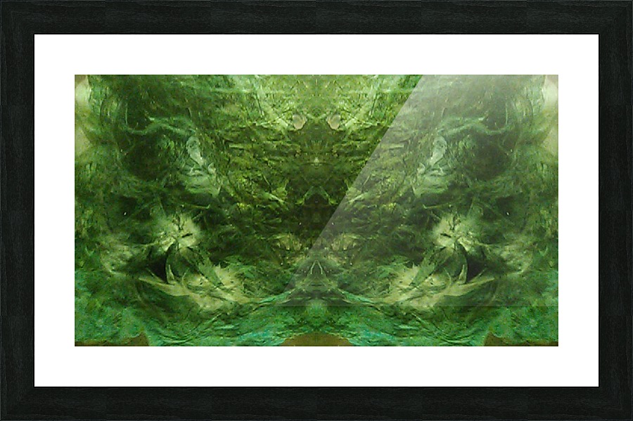 1539910351967 Picture Frame print