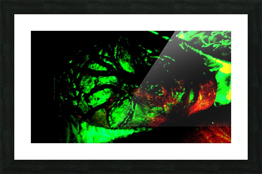1540686597118 Picture Frame print