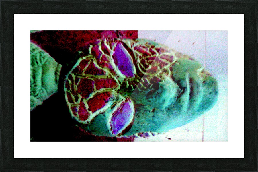 1540675361047 Picture Frame print