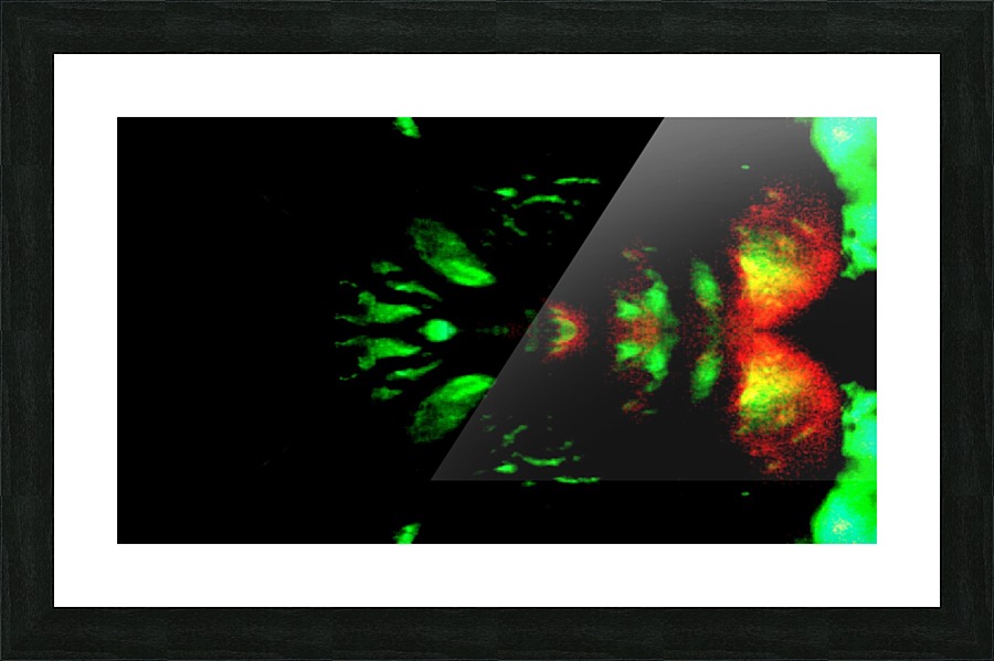 1540686439452 Picture Frame print