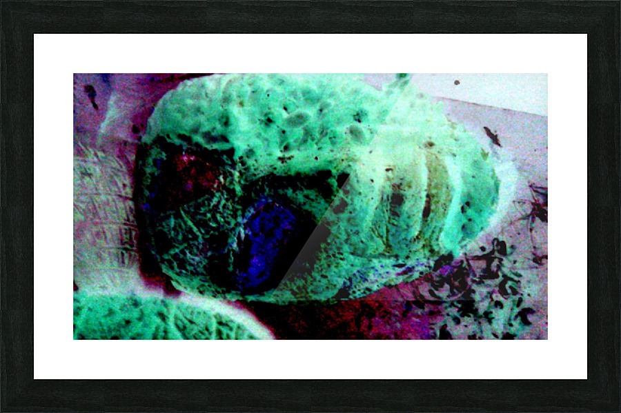 1540675384113 Picture Frame print