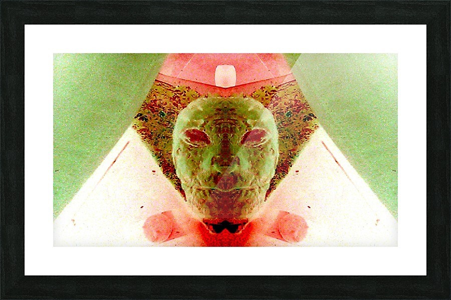 1540685416224 Picture Frame print