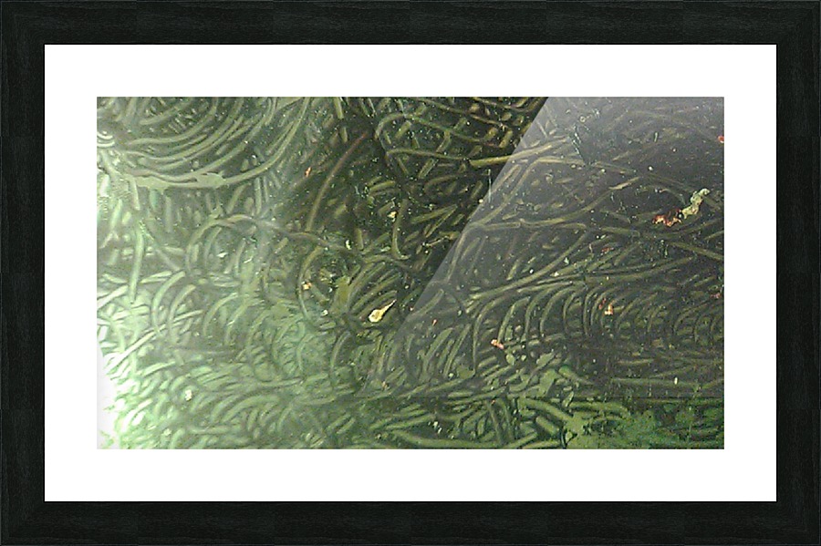 1540821570629 Picture Frame print