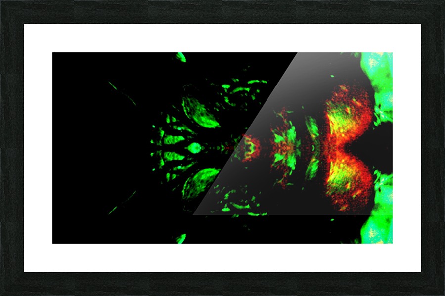 1540686445304 Picture Frame print