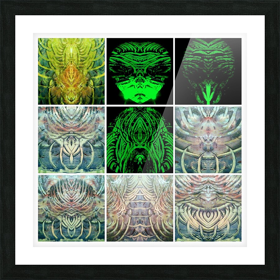 20181031_201601 COLLAGE~2 Picture Frame print