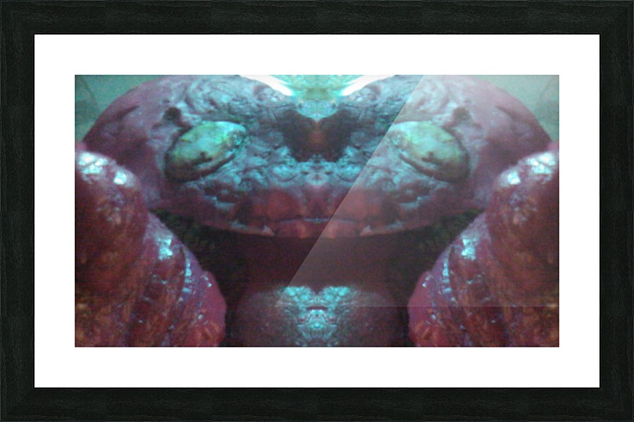 1541254456051 Picture Frame print