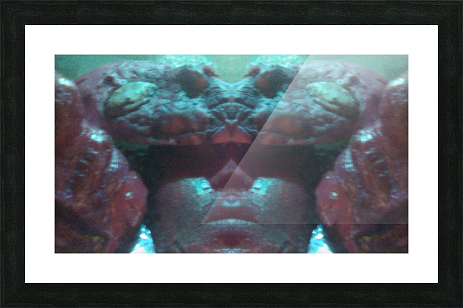1541254470852 Picture Frame print