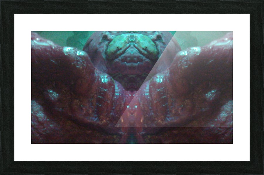 1541254446205 Picture Frame print