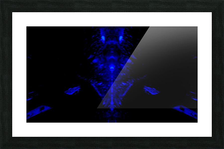 1541254136150 Picture Frame print