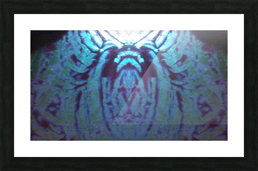 1541253076930 Picture Frame print