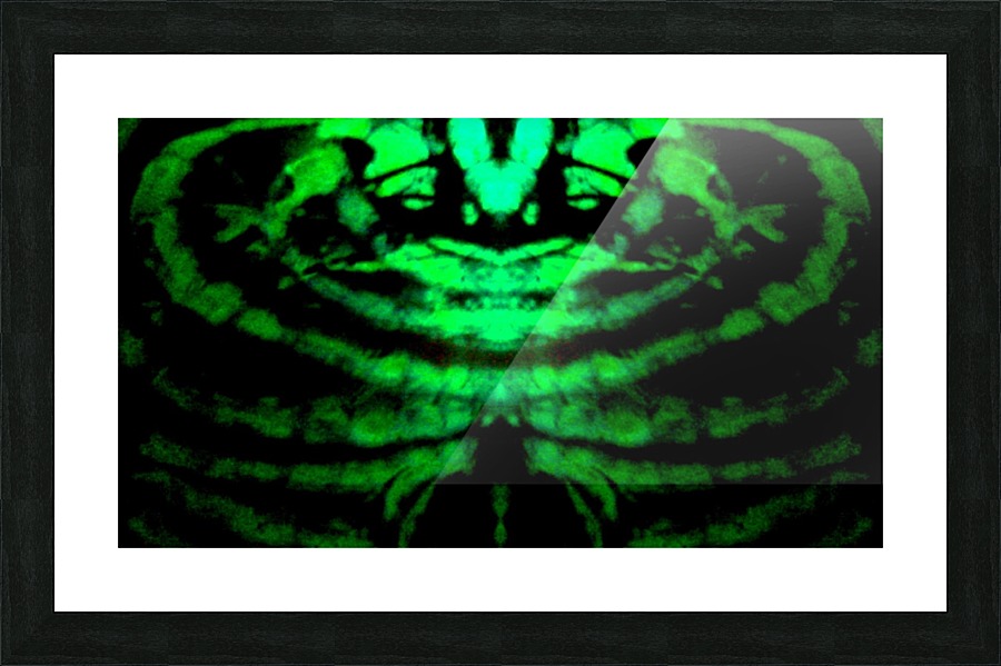 1541253366210 Picture Frame print