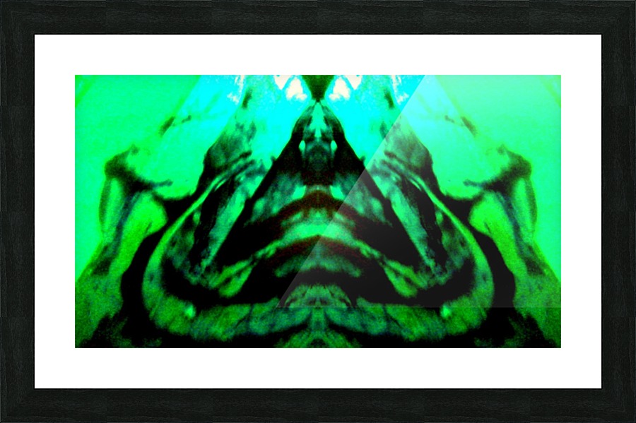 1541253325811 Picture Frame print
